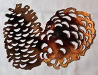 Pine Cones