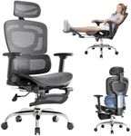 Ergonomic Office Chair, Adaptive Lu