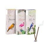 Pankh By Divine Bambooless Incense Sticks, Premium Dhoop Batti, Bambooless Dhop,100% Natural Wood Powder, Long Lasting Dhup for Pooja, Temples, Meditation, 70-75 Sticks, Pack of 3 of Rich Fragrance