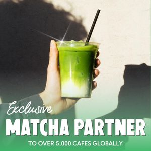 PerfectTed Organic Matcha Powder 30g – Premium Japanese Green Tea