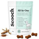 Scooch All-In-One Dog Multivitamin, 60 Tasty Crunchy Chews Even Fussy Dogs Eat | Daily Supplement Supporting Skin, Coat & Joints | Plant-Based Peanut Butter & Coconut | For Dogs from 12 Weeks