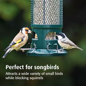 Jacobi Jayne Squirrel Buster Bird Feeder – Squirrel-Proof, Large Capacity