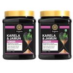 Karela Jamun Powder with Neem (400 Grams) - Diabetic Detox Powder | Infused with 3 Potent Herbs for Balancing Sugar | 100% Natural