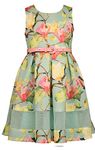 Bonnie Jean Special Occasion Big Girls Dress