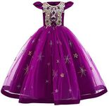 Girls Embroidery Flower Lace Long A Line Pageant Dress Floor Length Princess Prom Tulle Maxi Gown for Wedding Party Birthday, 01#purple, 3-4 Years