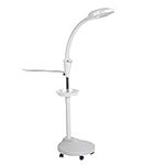 Tattoo Lamp, LED Beauty Salon Cold Light Lamp, Adjustable 8X Magnifying illumination Lamp Floor Lamp, Perfect for Eyelash Extension, Eyebrow Lips Tattoo, Nail Art (UK)Height: approx. 160 cm / 63 inch