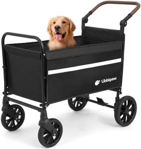 Libbipaw D