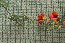 Apollo 15mm Square Garden Mesh