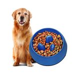 Flexzion Large Dog Bowl Slow Feeder - 1200ml (4 Cups, 40 Oz) Interactive Maze Dog Bowl for Large Dog, Anti-Choke and Bloat, Non-Slip Blue Dog Plate Slow Feeder