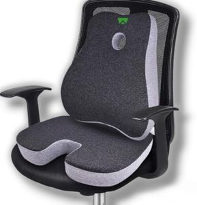 Well Alley Lumbar Support Pillow and Seat cushion - Ergonomic Memory Foam Back Rest Cushion for Office Chair, Gaming Chair, Car Seat - Back Pain Relief and Comfort (Lumbar rest and Seat Cushion)