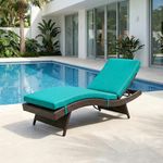 BRISHI Outdoor Swimming Poolside Lounger Beach Sunbathing Lawn Patio Chaise Lounge Sun Lounger Chair Adjustable Backrest (Dark Brown + SkyBlue)