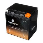 Chrome Battery YTX30L-BS Maintenance Free Replacement Battery for ATV, Motorcycle, Snowmobile, and UTV: 12 Volts, 3 Amps, 30Ah, Nut and Bolt (T3) Terminal