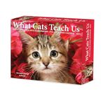 What Cats Teach Us 2025 6.2" x 5.4" Box Calendar