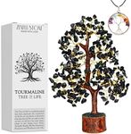 Zenfulstone Black Tourmaline Tree o