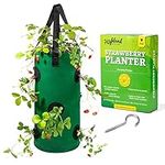 Hanging Strawberry Planter Outdoor 