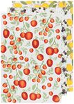 Now Designs Mediterranean Cotton Floursack Kitchen Dish Towels 20 x 30in, Set of 3