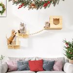 DWVO Cat Wall Shelves and Perches for Wall, Wooden Wall Mounted Cat Furniture, Set of 5 Cat Climbing Shelves with 1 Cat Wall House, 2 Cat Wall Steps, 1 Cat Bridge Ladder and 1 Cat Scratching Post