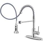 Kitchen Faucets with Pull Down Spra