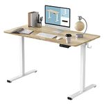 FLEXISPOT Standing Desk Electric Sit Stand Desk with 48 x 24 Inches Ergonomic Memory Controller Adjustable Height Desk with USB Charging Ports