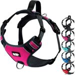 Black Rhino - The Comfort Dog Harness with Mesh Padded Vest for Small - Large Breeds | Adjustable | Reflective | 2 Leash Attachments on Chest & Back - Neoprene Padded Training Handle (Medium, Pink/Bl)