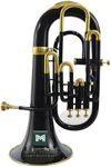 Indian Musical Instrument Euphonium