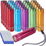 KunHe 30 Pack Party Favors Mini Small Led Flashlight Bulk Lanyard for Kids Cheap Halloween Flashlights for Camping, Power Outage, Night Reading