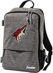 Franklin Sports Phoenix Coyotes Str