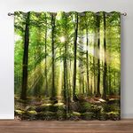 Jekeno Forest Blackout Curtains - Green Tree in Bright Sunshine Pathway in The Mountains Jungle Nature Scenery Decor Home Bedroom Living Room Darkening Grommet Window Drapes 2 Panel Set,42"x84"