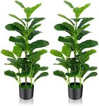 TANGZON 2-Pack Artificial Fiddle Le