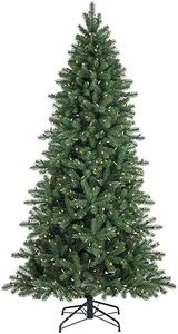 Balsam Hil