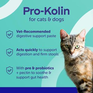 Protexin Pro-Kolin Digestive Paste for Pets, 15ml Syringe