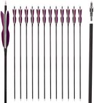 LWANO 31" Carbon Hunting Arrows Arc