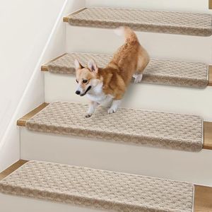 Bullnose S