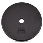 Yes4All 1-inch Cast Iron Weight Plates for Dumbbells – Standard Weight Disc Plates (15 lbs, Single)