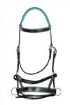 MEWATI Premium Western Leather Bitless Sidepull BridleTeal Blue Padding-Stainless Steel Hardware-Horse Reins(Standard/Full)