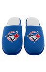 Sports Fan Slippers