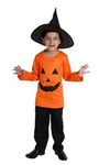 Kaku Fancy Dresses Polyester Pumpkin T-Shirt With Hat Fancy Dress Halloween Costume For Kids, 10-12 Years,Orange