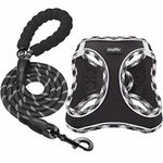 haapaw Dog Harness and Lead Set, No Pull Adjustable Reflective Step-in Puppy Harness with Thickened Padded Vest for Extra-Small/Small Medium Dogs