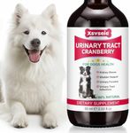 Dog Urinary Tract Infection Treatme