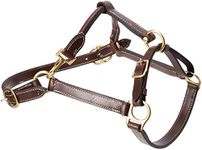 Cwell Equine New OILED LEATHER HEADCOLLAR Newmarket Brown Choice of sizes F/C/P (COB)