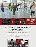 Martial Art Training Home Workout DVD Set Combines Boxing, Kickboxing, Agility, Punching Speed, Fight Skills, Flexibility, Strength in Men and Women