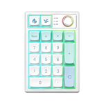 YUNZII YZ19 Wireless Mechanical Number Pad,19 Keys Numeric Keypad with Knob, RGB Gasket PBT Keycaps Hot Swappable Programmable Keyboard, Number Keypad for Win/Mac/Gaming(Gateron Brown Switch, Mint)