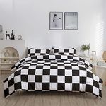 LUCKYBULL Queen Comforter Set 3 Pieces Fluffy Bedding Set Black Plaid Down Alternative Comforter, Checkered Soft Textured Comforter with 2 Pillowcases All Seasons, Black and White