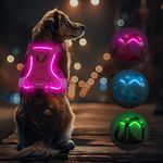 Light Up Dog Harness Rechargeable,LED Dog Harness for Night Walking,Dog Vest Harness for Small/Medium/Large/X Large Size Dogs-No Pull,High Visibility,4 Point Adjustable,Pink，XS