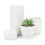 KINGLAKE 8Pcs Small White Plant Pots Indoor 10cm Plastic Flower Pots Decorative Nursery Pots with Trays for Cuttings Succulent Cactus House Plants Herbs