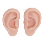 Human Ear Model, 1 Pair Soft Silicone Simulation Ear Model, Flexible Fake Ear, Realistic Body Parts for Piercing Practice, Earrings Jewelry Display, Teaching Tool(2#)