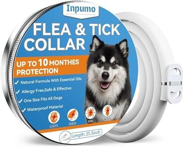 Inpumo Collier Anti Puces pour Chien, Collier Anti Puces Chien, Amélioré avec des Huiles Essentielles Naturelles 10 Mois de Protection étanche et Réglable pour Petit Moyen Grand Chien (1 Pack)