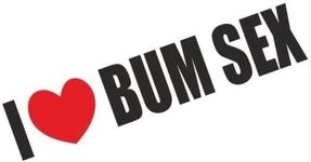 I Love Bum Sex Funny Bumper Sticker