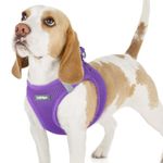 rabbitgoo Dog Harness Small Dog, Step-in Soft Mesh Puppy Harness with Reflective Strips, Lightweight Breathable Pet Vest for Walking Training, Purple, M