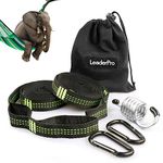 LeaderPro 2 x Hammock Straps, 3m*2.5cm, Maximum Load 500kg, Hanging Accessories for Camping Hammock with 2 Carabiners, 1 Hanging Chair Hook, with Carry Bag, Green